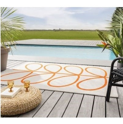 Outdoor Rugs