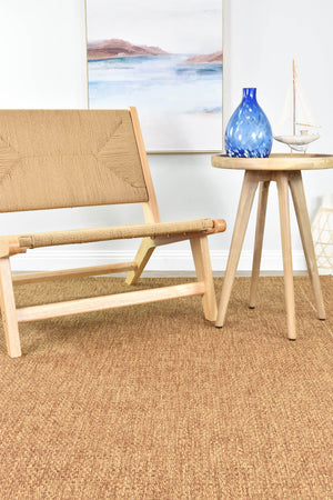 Coastal Outdoor Sisal Brown Rug