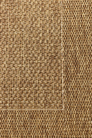 Coastal Outdoor Sisal Brown Rug