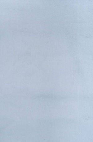 Karrie Tranquil Blue Rug