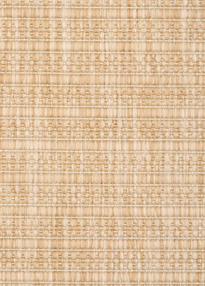 Barton Stripes Tan Rug