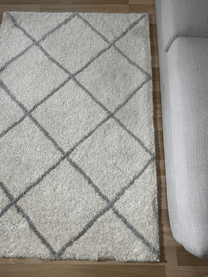 Fleur Ivory Silver Rug