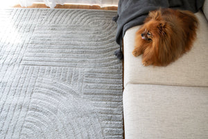 Cancoon Curves Steel