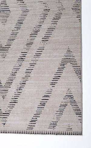 Cozy Ivory Beige Rug 5640