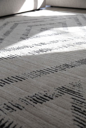 Cozy Ivory Beige Rug 5640