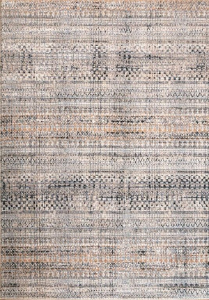 Cozy Ivory Dark Beige Rug 5436