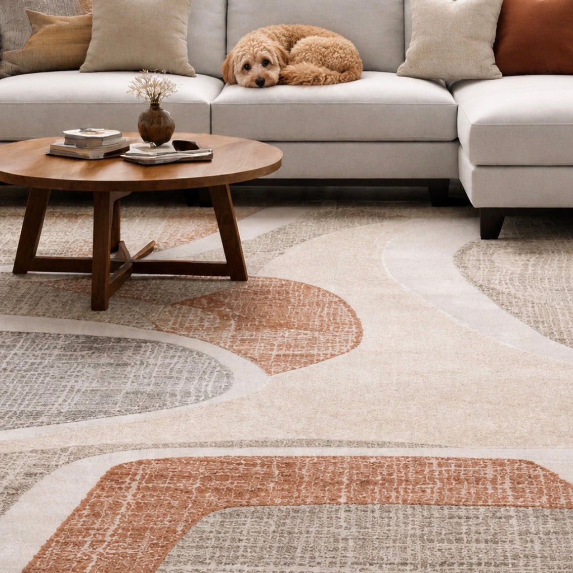Modern Rugs