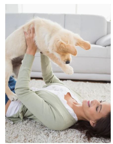 Pet Friendly Rugs