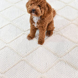Allure Diamond Frost Wool Rug