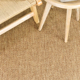 Coastal Outdoor Sisal Brown Rug
