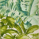 Amazon Jungle
