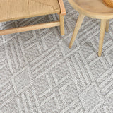 Willow 0F098A Light Grey