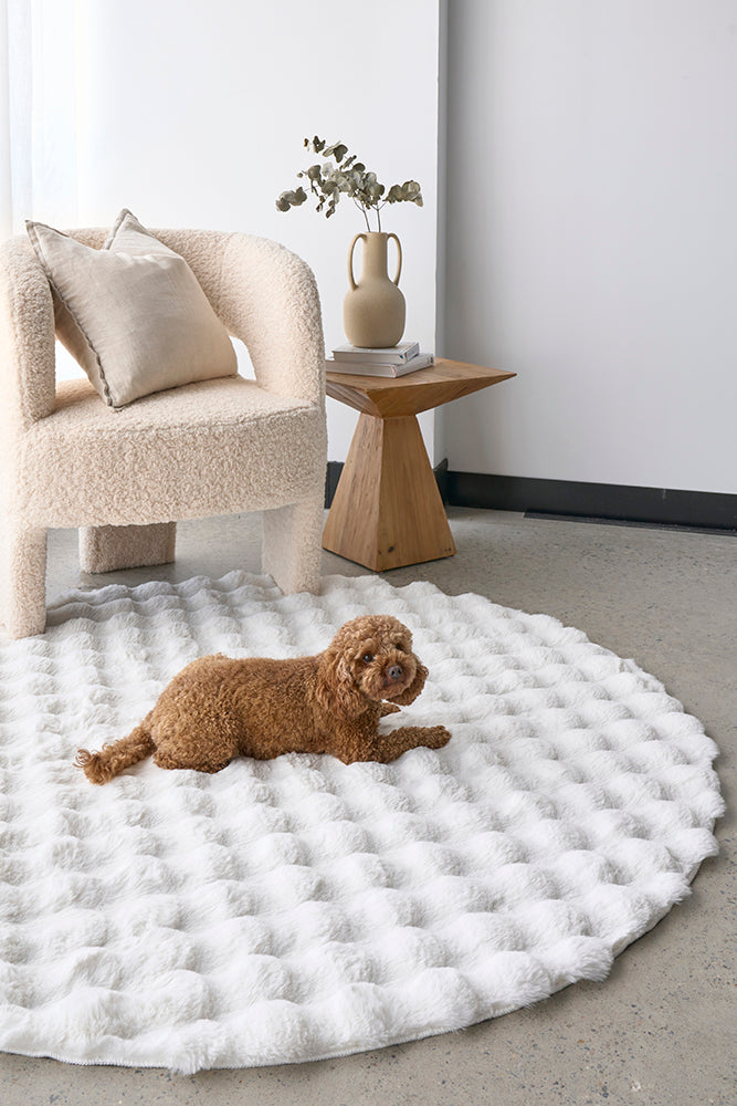 Round fluffy rug discount