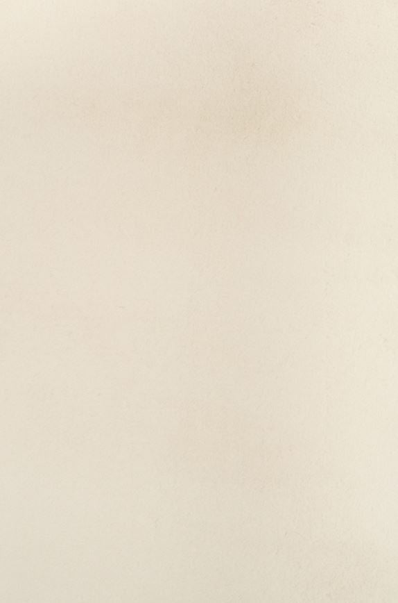 Karrie Warm Neutral Rug