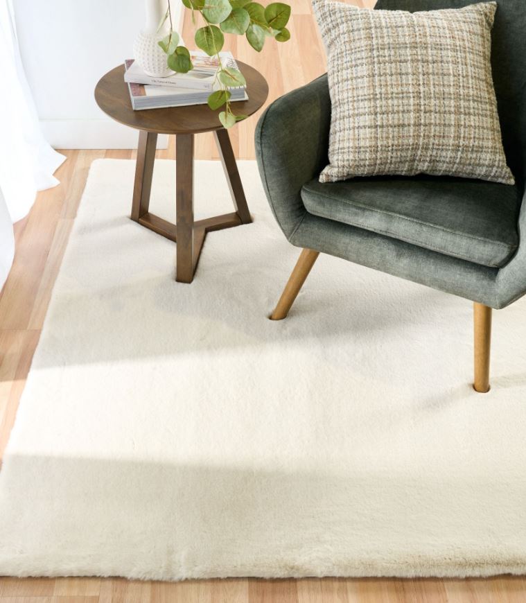 Karrie Warm Neutral Rug