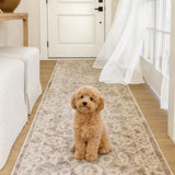 Carmen Latte Hallway Runner 80CM Wide