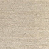 Vincent Beach Rug