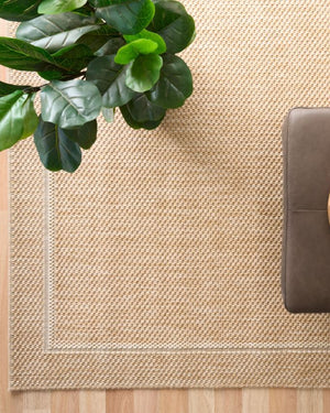 Barton Boarder Tan Rug