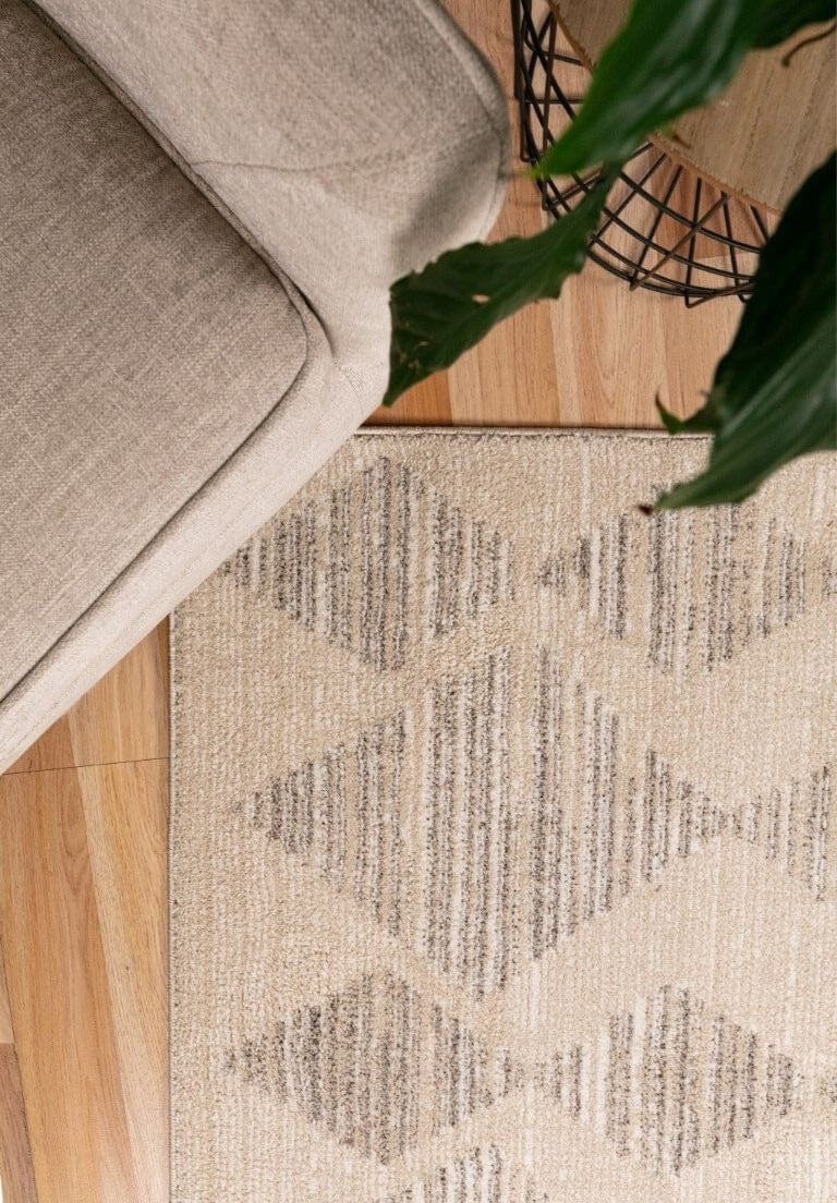 Cozy Ivory Beige Rug 5427
