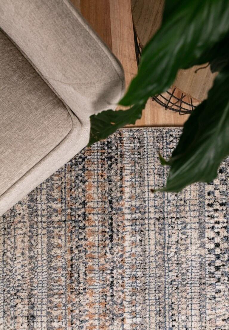 Cozy Ivory Dark Beige Rug 5436