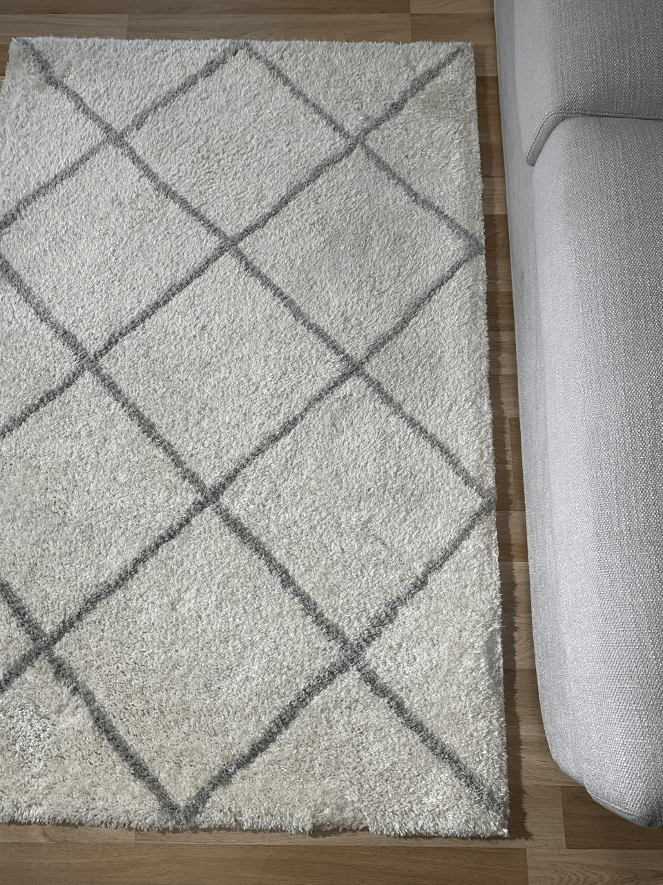 Fleur Ivory Silver Rug