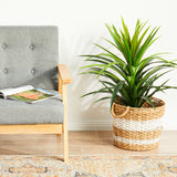 Legacy 850 Rust Runner Rug