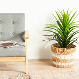 Legacy 850 Salmon Runner Rug