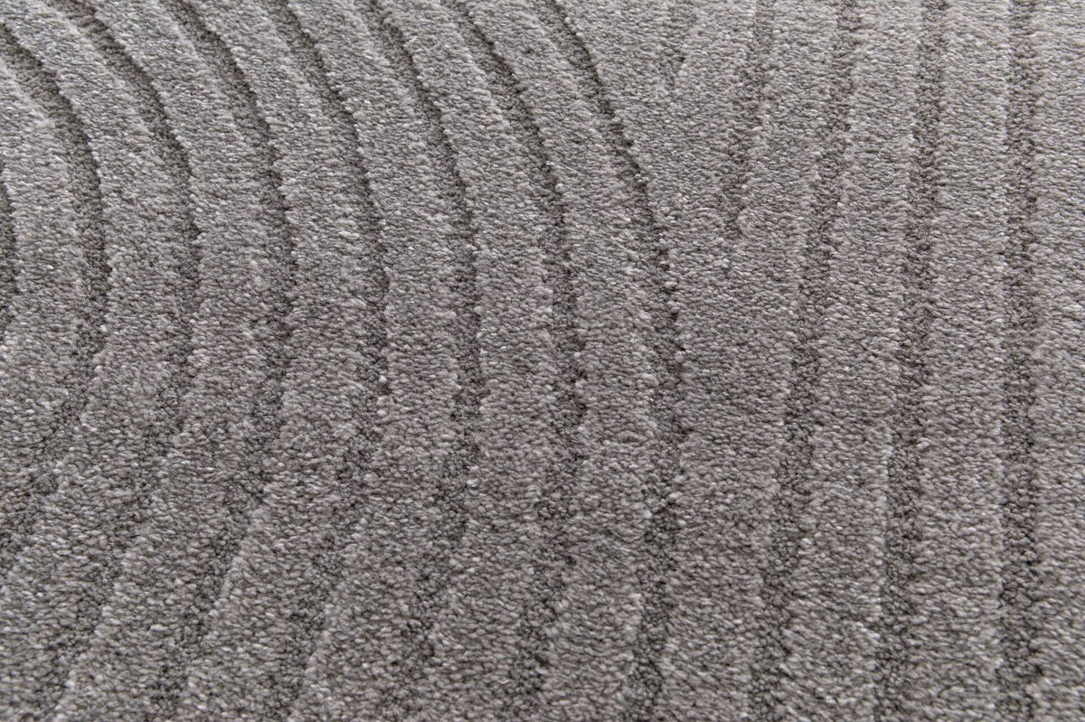 Cancoon Curves Steel