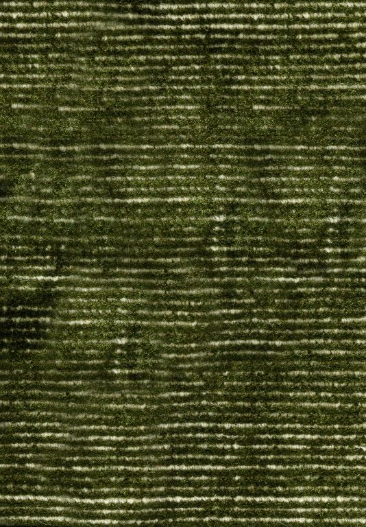 Hampton Green White Rug