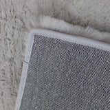 Celina Silver Rug