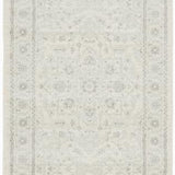 Evoke Winter White Transitional Rug