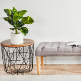 Evoke Diamond Grey Transitional Runner Rug