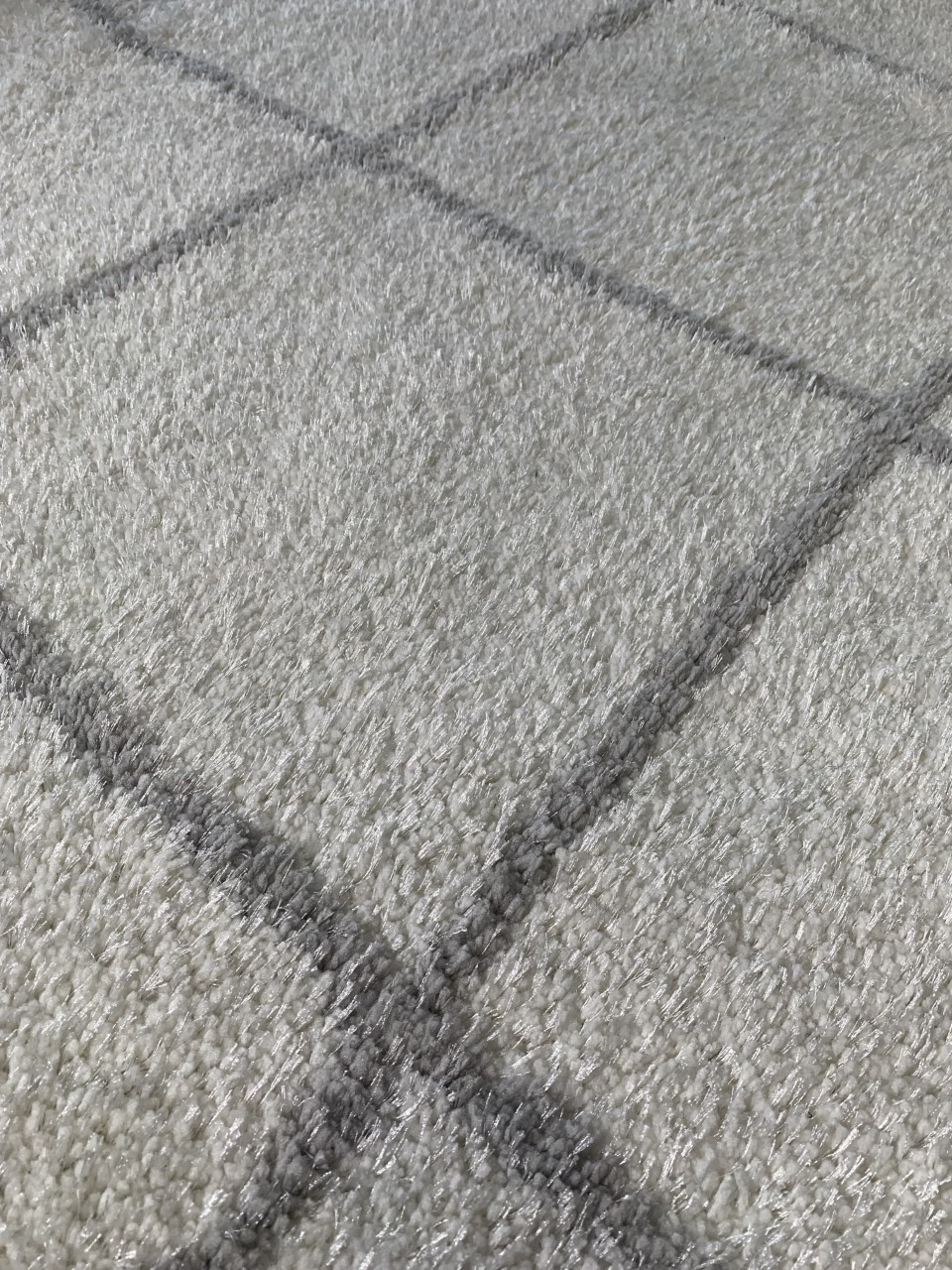 Fleur Ivory Silver Rug